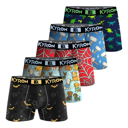 Kit 10 Cuecas Boxer Microfibra Menino Kyron Infantil